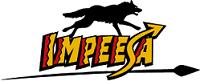 logo scoutsimpeesa