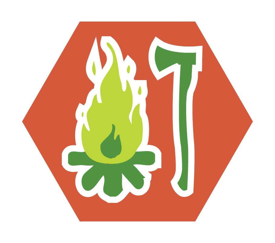 Basisinsigne UST Houtbewerking & Stoken