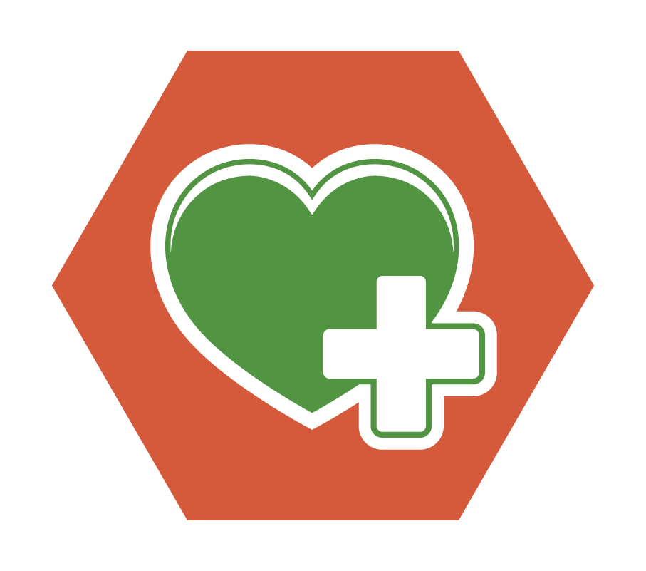 Basisinsigne Veilig & Gezond