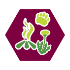 Specialisatie Bushcrafter