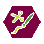 Specialisatie Kunstenaar