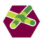 Specialisatie Pionieren