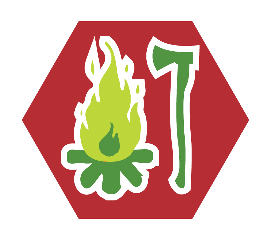 Verdiepingsinsigne UST Houtbewerking & Stoken