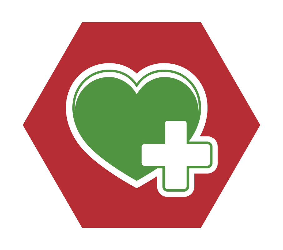 Verdiepingsinsigne Veilig & Gezond